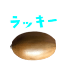 どんぐり B と 手書き風文字（個別スタンプ：28）