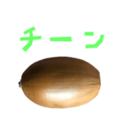 どんぐり B と 手書き風文字（個別スタンプ：33）