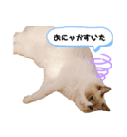 ぼくは、レイ♡（個別スタンプ：2）