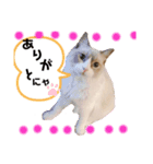 ぼくは、レイ♡（個別スタンプ：4）