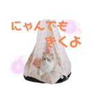 ぼくは、レイ♡（個別スタンプ：6）