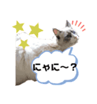 ぼくは、レイ♡（個別スタンプ：7）