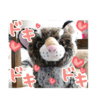 あゆみNちのわんにゃんスタンプ（個別スタンプ：21）