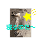 もちゃ10（個別スタンプ：1）
