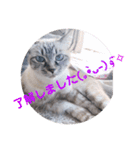 もちゃ10（個別スタンプ：10）