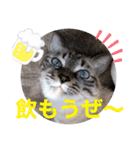 もちゃ10（個別スタンプ：12）