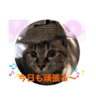 もちゃ10（個別スタンプ：15）