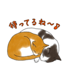 ねこ×ねこお返事Part2（個別スタンプ：31）