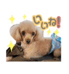 こちみゅふぱ☆（個別スタンプ：1）