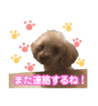 こちみゅふぱ☆（個別スタンプ：8）