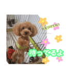 こちみゅふぱ☆（個別スタンプ：9）