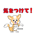 チワワ犬で幸せに！カスタム（個別スタンプ：11）