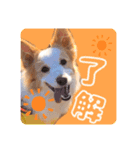 茶々スタンプpart2（個別スタンプ：2）