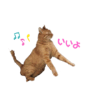 うちのいくらさん♬（個別スタンプ：3）