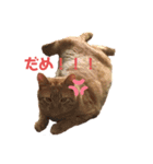 うちのいくらさん♬（個別スタンプ：4）