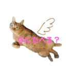 うちのいくらさん♬（個別スタンプ：6）