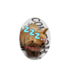 まるまるくん❷（個別スタンプ：2）