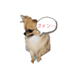 まるまるくん❷（個別スタンプ：4）