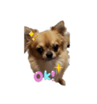 まるまるくん❷（個別スタンプ：5）