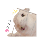 だいふくくん5（個別スタンプ：8）