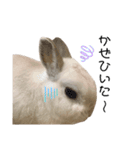 だいふくくん5（個別スタンプ：11）