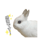 だいふくくん5（個別スタンプ：12）