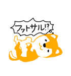 マルチーズと柴犬（個別スタンプ：6）