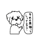 マルチーズと柴犬（個別スタンプ：13）