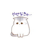 たぷたぷにゃんこ（個別スタンプ：4）