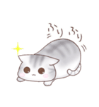 たぷたぷにゃんこ（個別スタンプ：6）