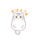 たぷたぷにゃんこ（個別スタンプ：7）