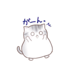 たぷたぷにゃんこ（個別スタンプ：9）