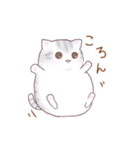 たぷたぷにゃんこ（個別スタンプ：12）