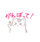 たぷたぷにゃんこ（個別スタンプ：14）