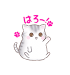 たぷたぷにゃんこ（個別スタンプ：15）