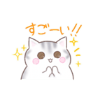 たぷたぷにゃんこ（個別スタンプ：19）