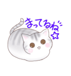 たぷたぷにゃんこ（個別スタンプ：20）