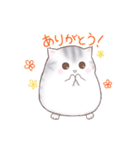 たぷたぷにゃんこ（個別スタンプ：21）