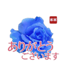 創れる落款印（遊印）… 青い薔薇 カスタム（個別スタンプ：5）