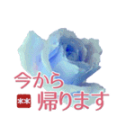 創れる落款印（遊印）… 青い薔薇 カスタム（個別スタンプ：11）