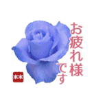 創れる落款印（遊印）… 青い薔薇 カスタム（個別スタンプ：12）