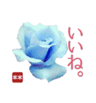 創れる落款印（遊印）… 青い薔薇 カスタム（個別スタンプ：24）
