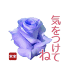 創れる落款印（遊印）… 青い薔薇 カスタム（個別スタンプ：29）