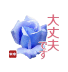 創れる落款印（遊印）… 青い薔薇 カスタム（個別スタンプ：31）