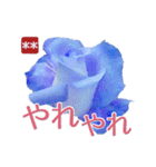 創れる落款印（遊印）… 青い薔薇 カスタム（個別スタンプ：34）