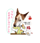 金井家ゆく年くる年（個別スタンプ：4）