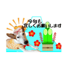 金井家ゆく年くる年（個別スタンプ：6）