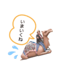 あずたんたんたん（個別スタンプ：4）
