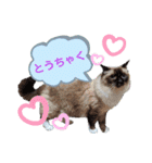 ラグとナン（個別スタンプ：8）