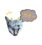 ラグとナン（個別スタンプ：9）